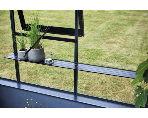 Vue détaillée d''une serre avec étagère, plantes et bougie