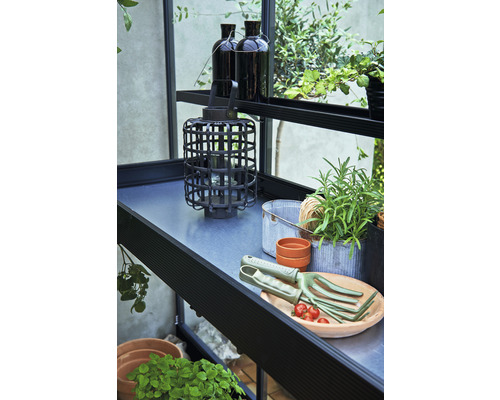 Scène de jardin avec plantes, lanterne et outils de jardinage sur une étagère