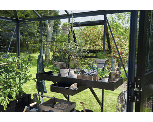 Intérieur de serre avec table de travail, plantes et outils de jardinage