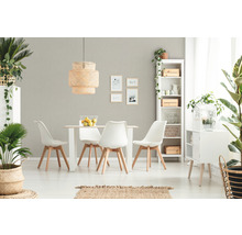 Esszimmer mit Esstisch, Stühlen, Regal, Lampe und Zimmerpflanzen für eine helle und freundliche Atmosphäre.