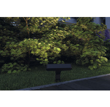 Garten mit Bäumen und Aussenleuchte