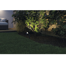 Beleuchteter Garten mit Rasen, Strauch und Aussenleuchte