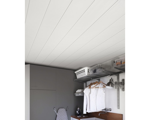 Plafond avec panneaux dans une buanderie avec armoires et étagères