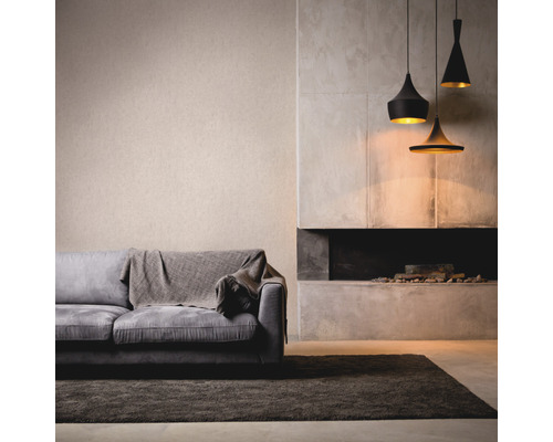 Salon avec canapé, tapis, cheminée et trois suspensions