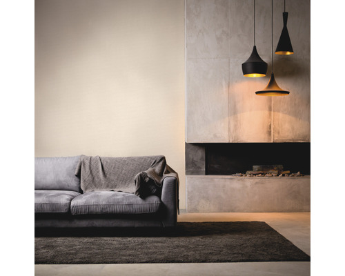Salon avec canapé, tapis, cheminée et suspensions