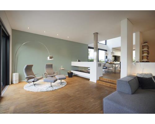 Espace de vie lumineux avec fauteuils, cheminée et parquet