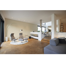 Salon lumineux avec fauteuils, cheminée et parquet