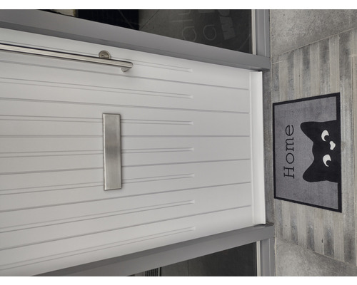 Moderne Haustür mit Briefkasten und Fussmatte mit Katzenmotiv