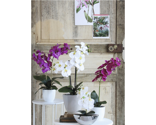 Orchidées artificielles décoratives en pot sur une table devant un mur en bois