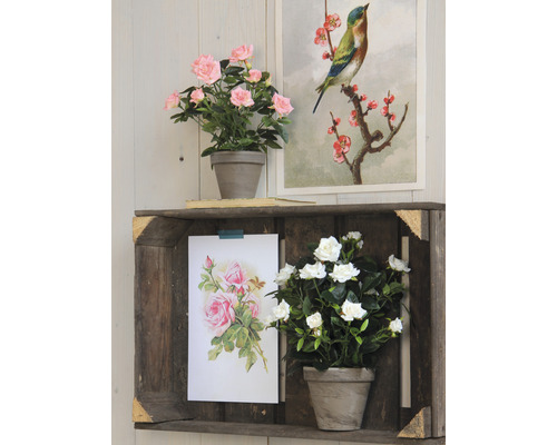 Scène décorative avec étagère en bois, fleurs artificielles et images encadrées