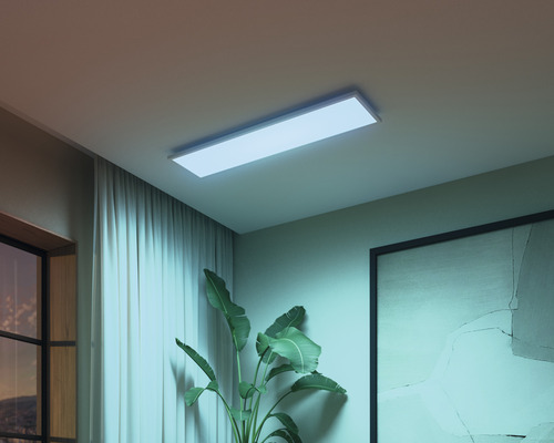 Deckenleuchte im Raum mit Zimmerpflanze und Kunstwerk