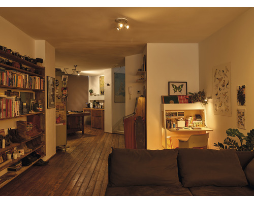 Wohnzimmer mit Bücherregal, Schreibtisch und Holzboden