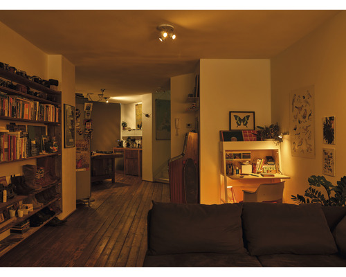 Wohnzimmer mit Bücherregal, Schreibtisch und Sofa