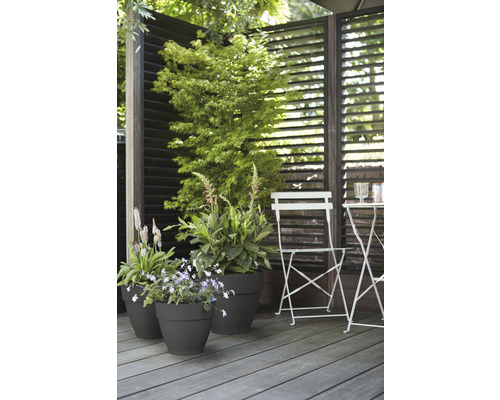 Espace terrasse aménagé avec plantes en pots, brise-vue et coin salon.