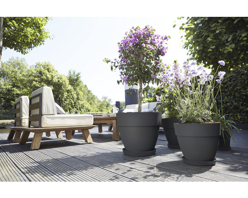 Terrasse avec mobilier de jardin et plantes en pot