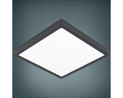 Deckenlampe - lm Fueva LED schwarz 5 20,5 HORNBACH W 2400