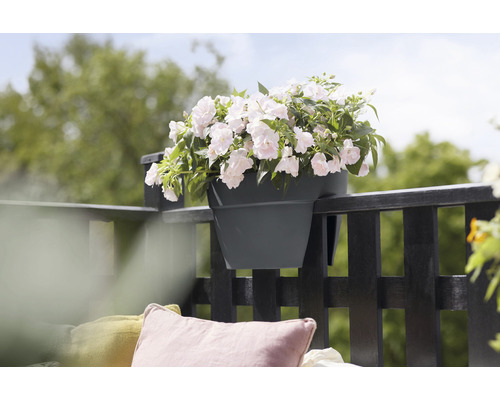 Blumenkasten am Balkongeländer mit gefüllter Bepflanzung