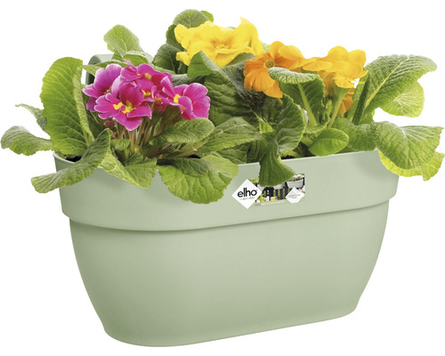 Jardinière suspendue avec des primevères colorées