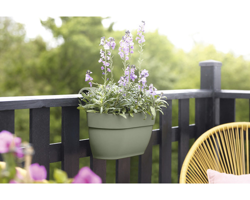 Jardinière avec des fleurs violettes sur une balustrade de balcon