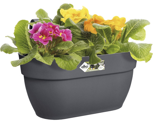 Jardinière de balcon grise avec primevères