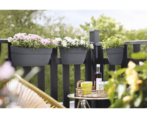 Scène de balcon avec jardinières sur la rambarde et boissons sur une table