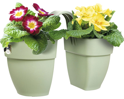 Jardinière double avec primevères rouges et jaunes