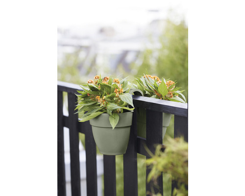 Deux jardinières avec des plantes sur la balustrade