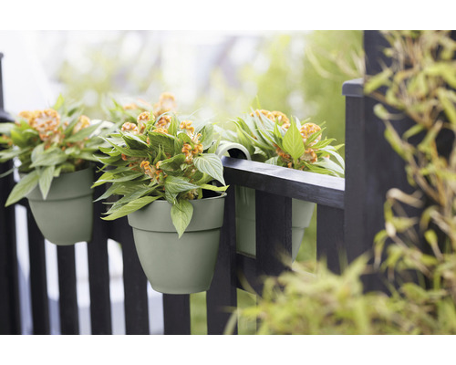 Trois pots de fleurs verts avec des plantes suspendus à une clôture sombre.