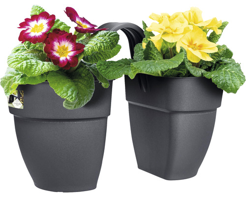 Doppelter Balkonkasten mit roten und gelben Primeln