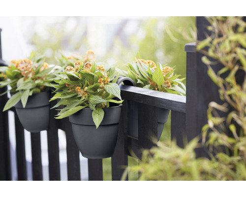 Blumen in Balkonkästen hängen an einem Balkongeländer.