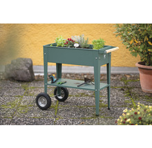 Jardinière surélevée en métal avec roues et étagère, plantée d''herbes aromatiques