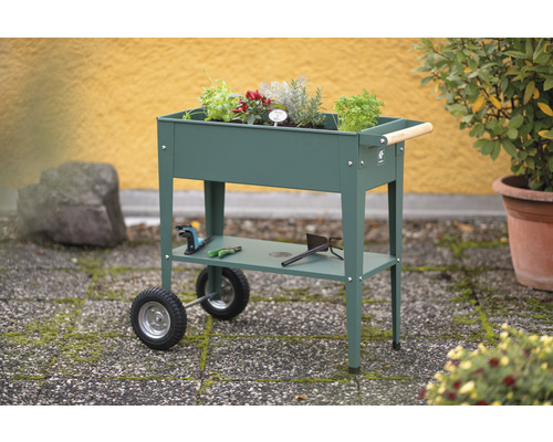 Jardinière surélevée en métal avec roues et étagère, plantée d''herbes aromatiques