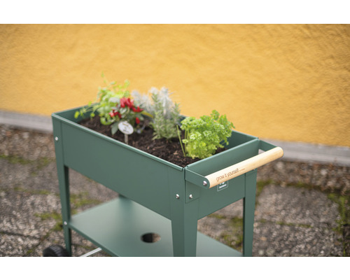 Jardin d''herbes aromatiques roulant avec différentes herbes