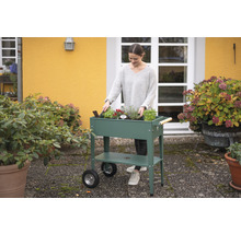 Femme plantant un potager surélevé à roulettes dans le jardin.