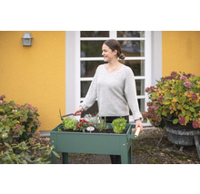 Femme travaille dans le jardin avec un potager surélevé rempli d''herbes et de fleurs