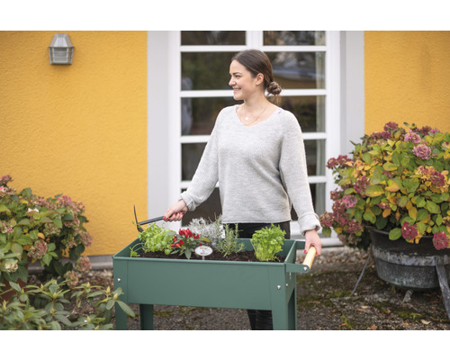 Femme travaille dans le jardin avec un potager surélevé rempli d''herbes et de fleurs