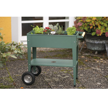 Chariot potager surélevé avec herbes aromatiques et légumes à l''extérieur