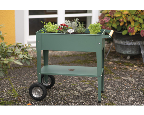 Chariot potager surélevé avec herbes aromatiques et légumes à l''extérieur