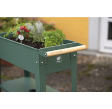 Jardinière surélevée avec plantes et poignée en bois