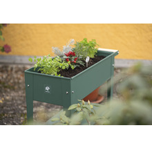 Jardinière surélevée plantée d''herbes et de légumes