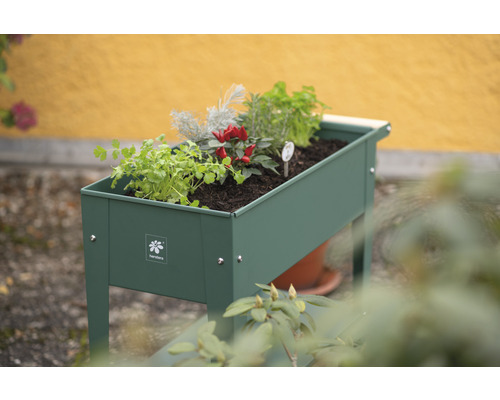 Jardinière surélevée plantée d''herbes et de légumes