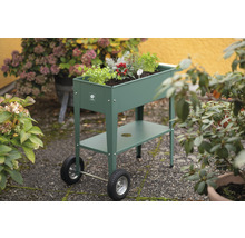 Jardin d''herbes aromatiques mobile en métal avec étagère et plantation à l''extérieur.