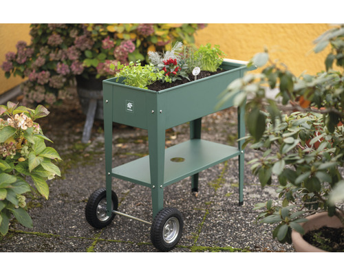 Jardin d''herbes aromatiques mobile en métal avec étagère et plantation à l''extérieur.