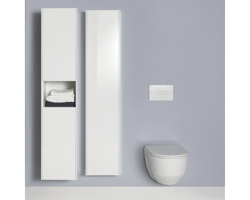 Salle de bains avec deux armoires hautes blanches et des toilettes suspendues