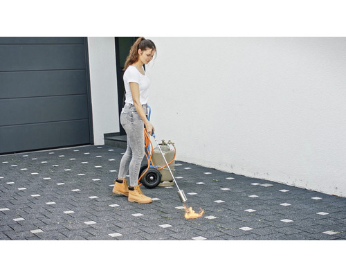 Une femme élimine les mauvaises herbes avec un brûleur à gaz sur un chemin pavé.