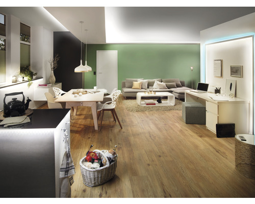 Helle Wohnungseinrichtung mit Holzboden, Esstisch, Sofa und Arbeitsbereich