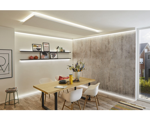 Salle à manger avec table, chaises, étagères et éclairage de plafond