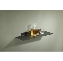 Metall Wandregal mit Flasche und Glas