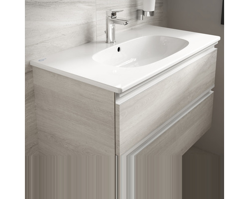 Meuble sous-lavabo avec lavabo et deux tiroirs