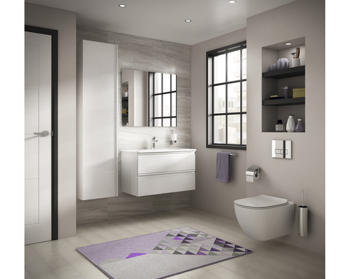 Salle de bains moderne avec lavabo, armoire de toilette, WC et tapis de bain